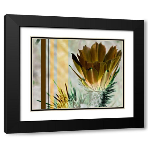Desert Flower Black Modern Wood Framed Art Print with Double Matting by Simons