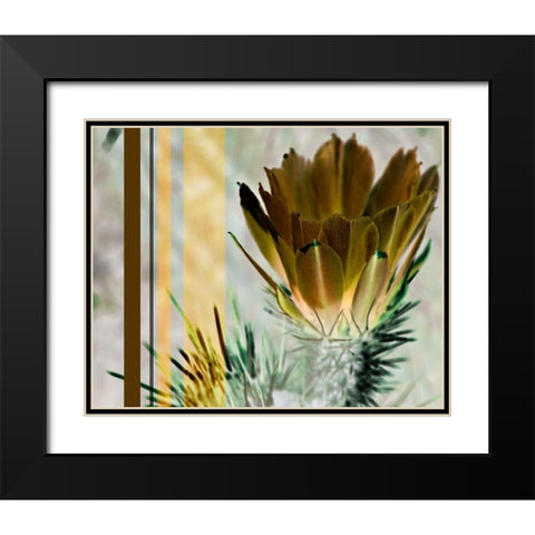 Desert Flower Black Modern Wood Framed Art Print with Double Matting by Simons