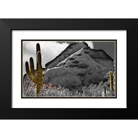 Desert View Black Modern Wood Framed Art Print with Double Matting by Simons