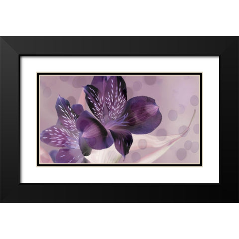 Misty in Lavender Black Modern Wood Framed Art Print with Double Matting by Simons
