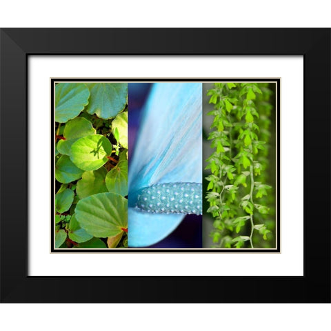 Nature in Azure II Black Modern Wood Framed Art Print with Double Matting by Simons