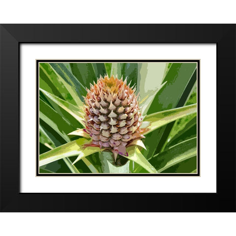 Pineapple Soon Black Modern Wood Framed Art Print with Double Matting by Simons