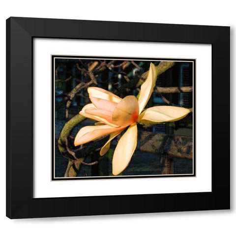 Radient Black Modern Wood Framed Art Print with Double Matting by Simons