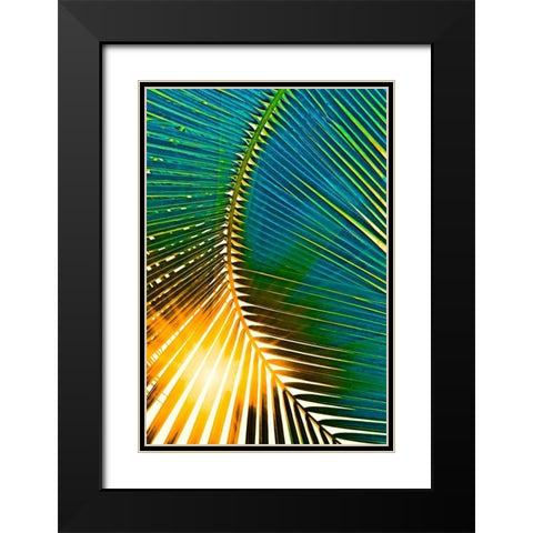 Sun Spray Black Modern Wood Framed Art Print with Double Matting by Simons