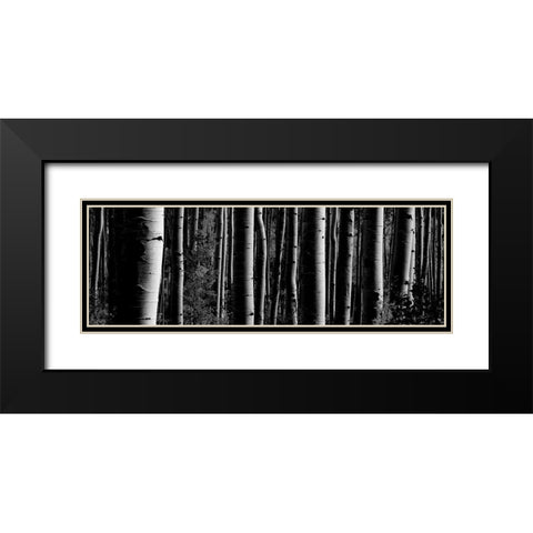 Love Tree 2 Black Modern Wood Framed Art Print with Double Matting by Phillip, Jamie