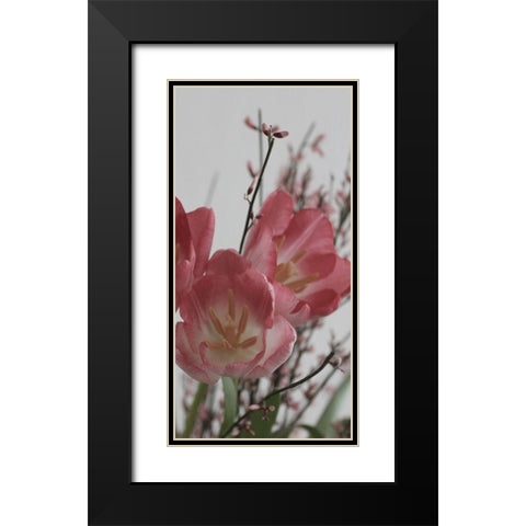 Planet tulip Black Modern Wood Framed Art Print with Double Matting by Phillip, Jamie