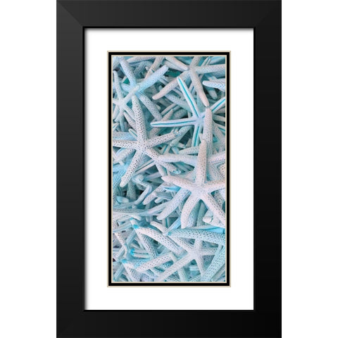 Beach Star 1 Black Modern Wood Framed Art Print with Double Matting by Phillip, Jamie