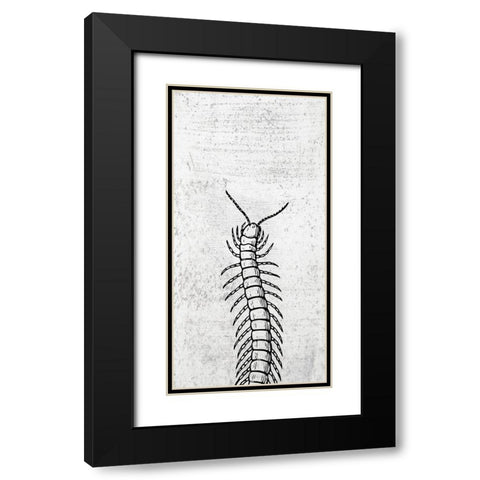 Spring Bug Black Modern Wood Framed Art Print with Double Matting by Phillip, Jamie