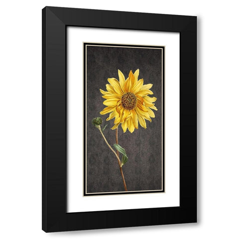 Botanic Black Modern Wood Framed Art Print with Double Matting by Phillip, Jamie