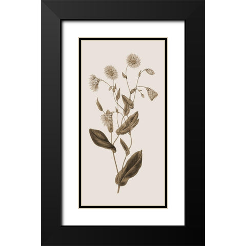 Toned Botanical Black Modern Wood Framed Art Print with Double Matting by Phillip, Jamie