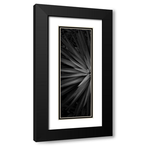 Lush 1 Black Modern Wood Framed Art Print with Double Matting by Phillip, Jamie