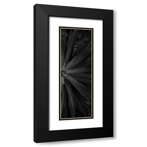 Lush 2 Black Modern Wood Framed Art Print with Double Matting by Phillip, Jamie