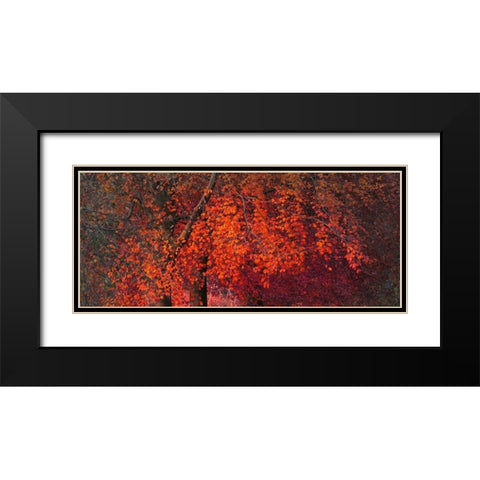 Mystical Tree Black Modern Wood Framed Art Print with Double Matting by Phillip, Jamie