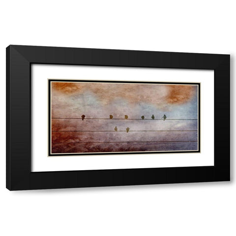BIrd Watching 2 Black Modern Wood Framed Art Print with Double Matting by Phillip, Jamie