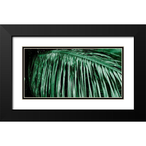 Palm Branch Black Modern Wood Framed Art Print with Double Matting by Phillip, Jamie