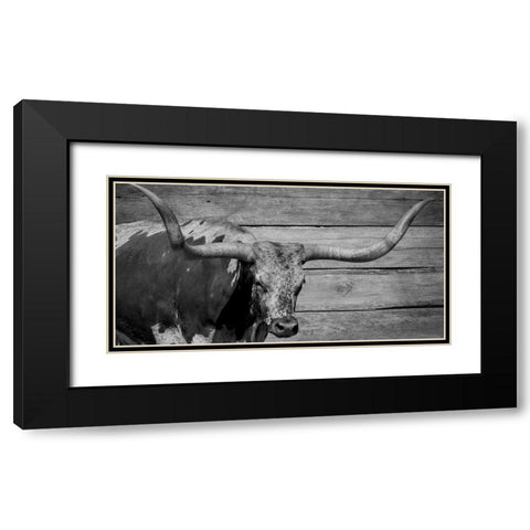 Long Horn Bull Black Modern Wood Framed Art Print with Double Matting by Phillip, Jamie