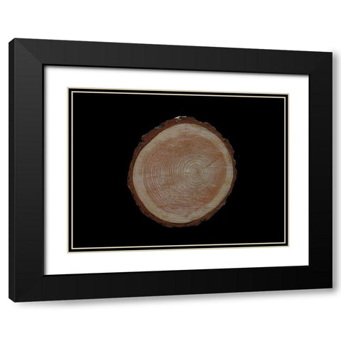 Wood Rings 2 Black Modern Wood Framed Art Print with Double Matting by Phillip, Jamie