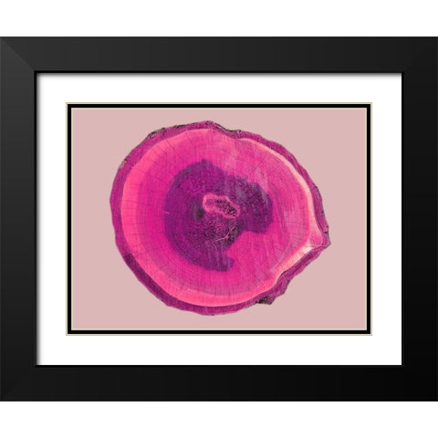 Wood Rings 4 Black Modern Wood Framed Art Print with Double Matting by Phillip, Jamie