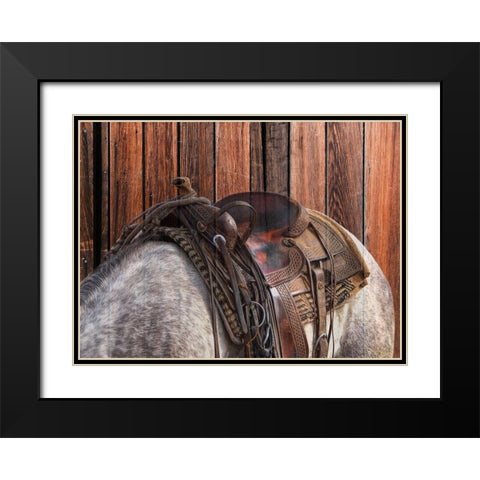 Horse On The Ranch Black Modern Wood Framed Art Print with Double Matting by Phillip, Jamie