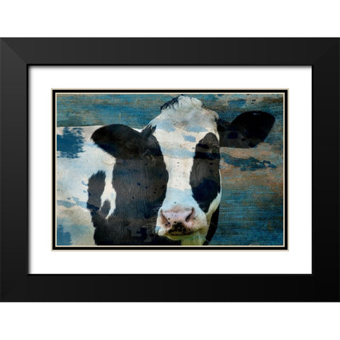 The Cow Black Modern Wood Framed Art Print with Double Matting by Phillip, Jamie