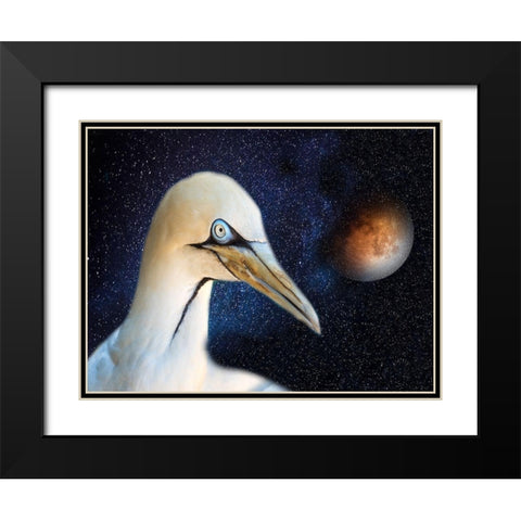 Space Bird Black Modern Wood Framed Art Print with Double Matting by Phillip, Jamie