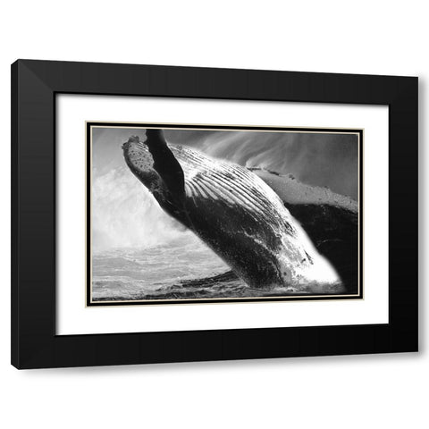 Black Whale Black Modern Wood Framed Art Print with Double Matting by Phillip, Jamie