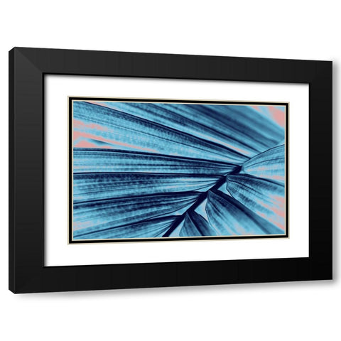 Palm Branch Black Modern Wood Framed Art Print with Double Matting by Phillip, Jamie