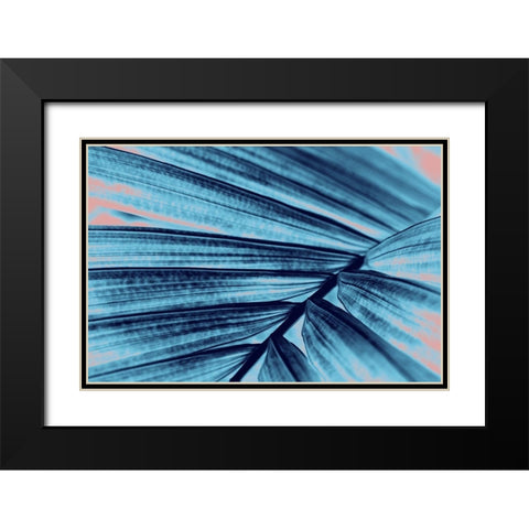 Palm Branch Black Modern Wood Framed Art Print with Double Matting by Phillip, Jamie