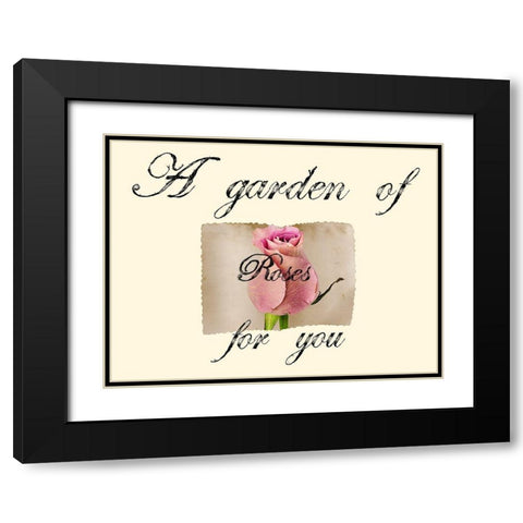 Pink Rose Black Modern Wood Framed Art Print with Double Matting by Phillip, Jamie