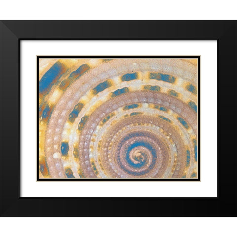 Coated  Spots Black Modern Wood Framed Art Print with Double Matting by Phillip, Jamie