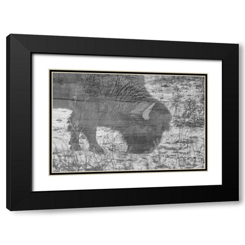 American Buffalo Black Modern Wood Framed Art Print with Double Matting by Phillip, Jamie