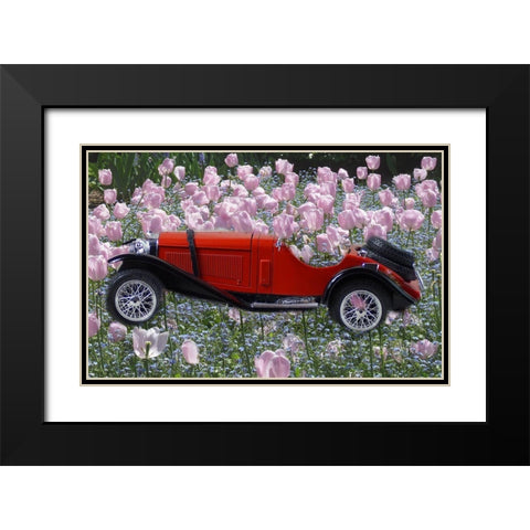 Flower Car Black Modern Wood Framed Art Print with Double Matting by Phillip, Jamie