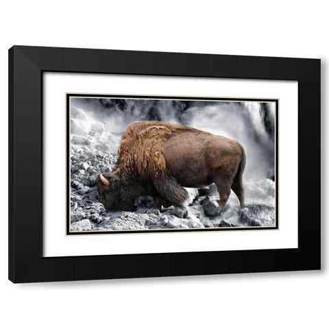 Bison Season 3 Black Modern Wood Framed Art Print with Double Matting by Phillip, Jamie