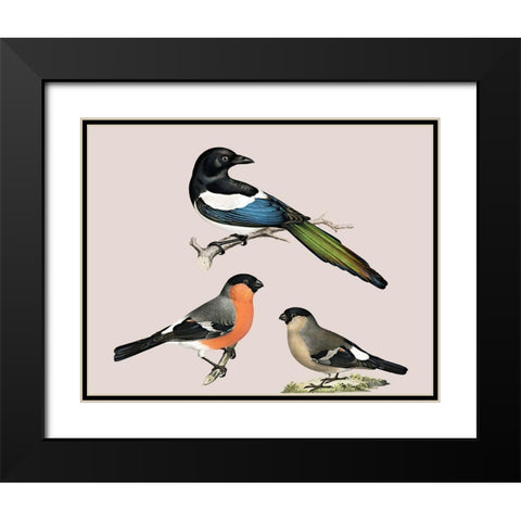 Birds Black Modern Wood Framed Art Print with Double Matting by Phillip, Jamie