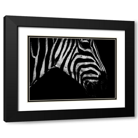 Africa Savanna 2 Black Modern Wood Framed Art Print with Double Matting by Phillip, Jamie