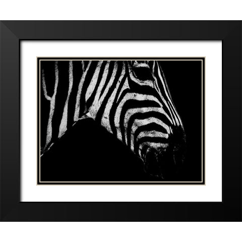 Africa Savanna 2 Black Modern Wood Framed Art Print with Double Matting by Phillip, Jamie