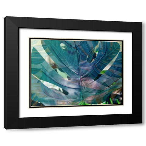 Succulent Tropics Black Modern Wood Framed Art Print with Double Matting by Phillip, Jamie