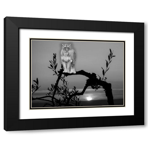 Lion In The Darkness Black Modern Wood Framed Art Print with Double Matting by Phillip, Jamie