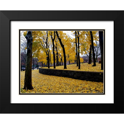Silent Nature 2 Black Modern Wood Framed Art Print with Double Matting by Phillip, Jamie