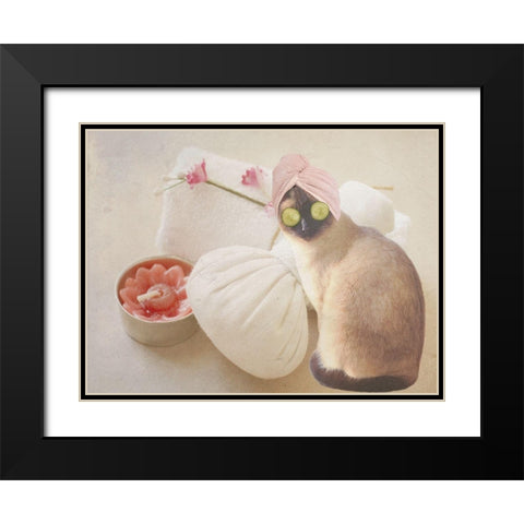 Members Only Cat Spa Black Modern Wood Framed Art Print with Double Matting by Phillip, Jamie