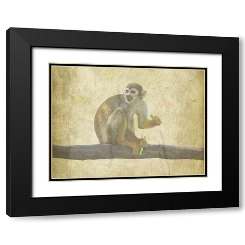 Monkey Around Black Modern Wood Framed Art Print with Double Matting by Phillip, Jamie