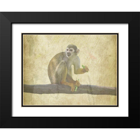 Monkey Around Black Modern Wood Framed Art Print with Double Matting by Phillip, Jamie