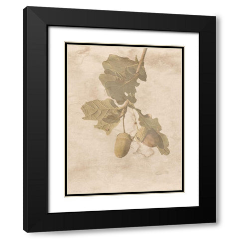 On The Trail Black Modern Wood Framed Art Print with Double Matting by Phillip, Jamie