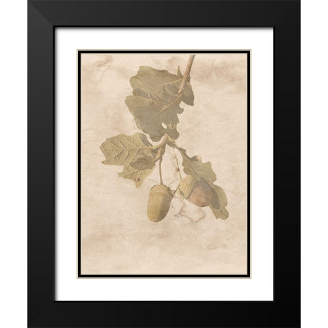 On The Trail Black Modern Wood Framed Art Print with Double Matting by Phillip, Jamie