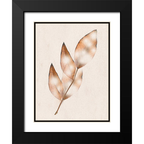 Brown Fall Black Modern Wood Framed Art Print with Double Matting by Phillip, Jamie