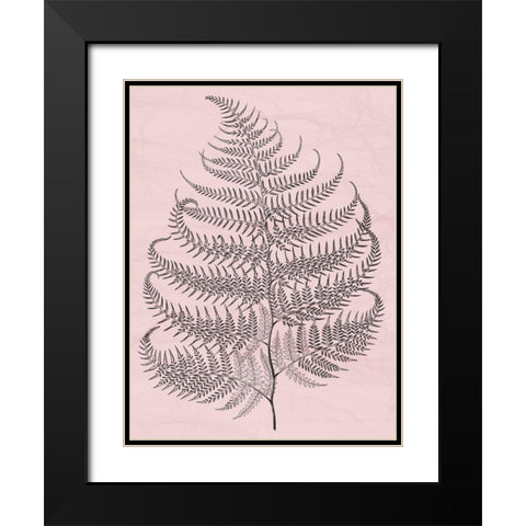 Plant Black Modern Wood Framed Art Print with Double Matting by Phillip, Jamie