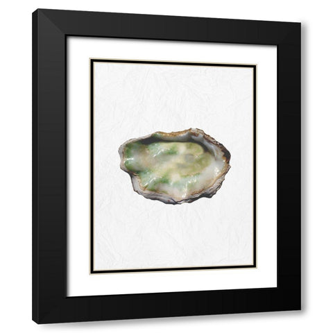 Oyster Shell 2 Black Modern Wood Framed Art Print with Double Matting by Phillip, Jamie