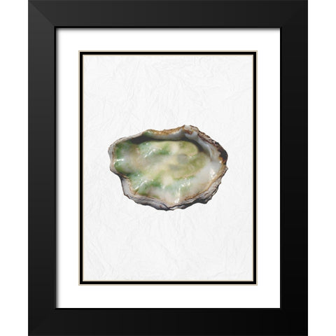 Oyster Shell 2 Black Modern Wood Framed Art Print with Double Matting by Phillip, Jamie
