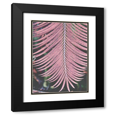 Tropical Palm 1 Black Modern Wood Framed Art Print with Double Matting by Phillip, Jamie