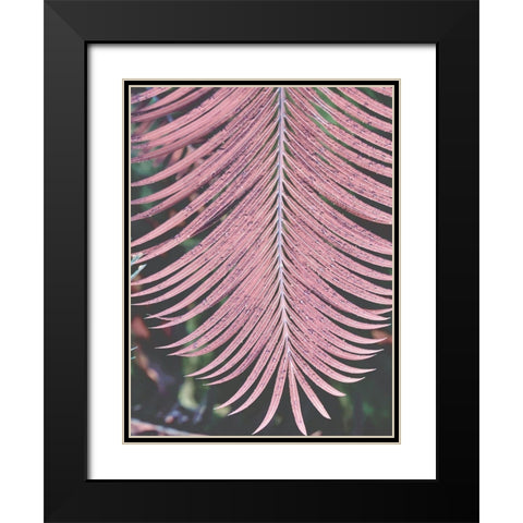 Tropical Palm 1 Black Modern Wood Framed Art Print with Double Matting by Phillip, Jamie